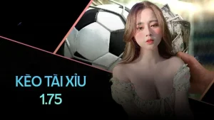 Chiến lược đánh kèo tài xỉu 175
